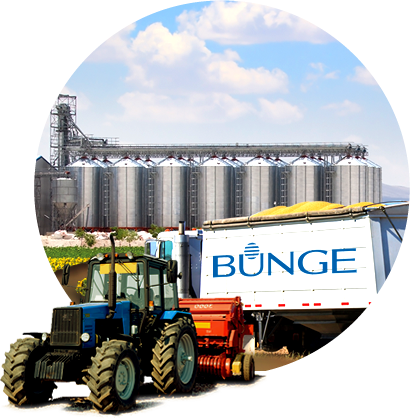 BUNGE <br /> HAKKINDA